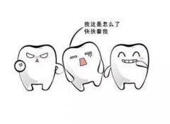 外伤撞击牙齿的恢复期